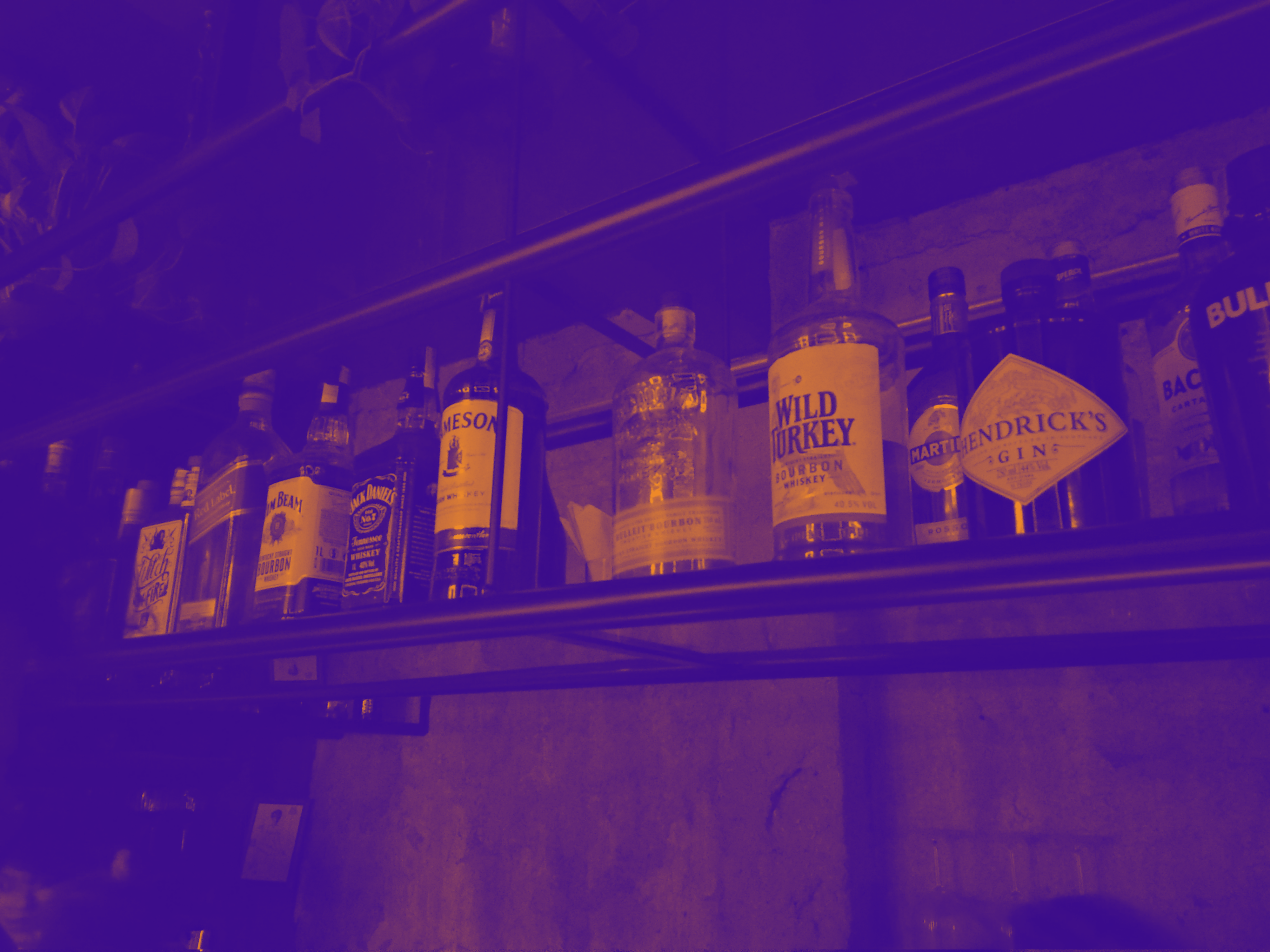 Scotch, Bourbon, Whisky, Brandy, Conhaque, Whisky Irlandês, Rye. Que?